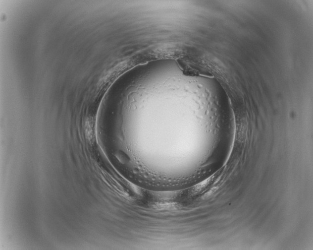 X0000059800335200510211058