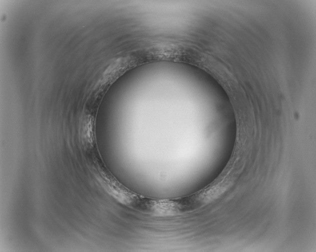 X0000059800336200510211058