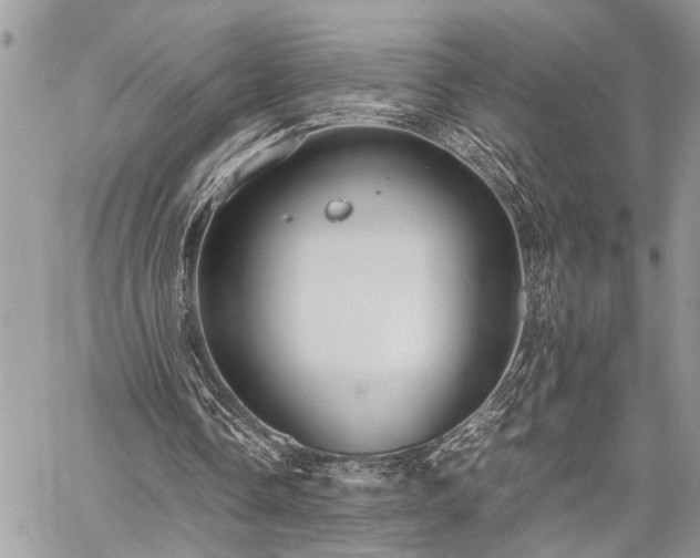 X0000059800338200510211057