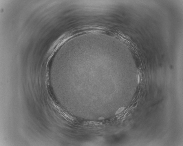 X0000059800339200510211057