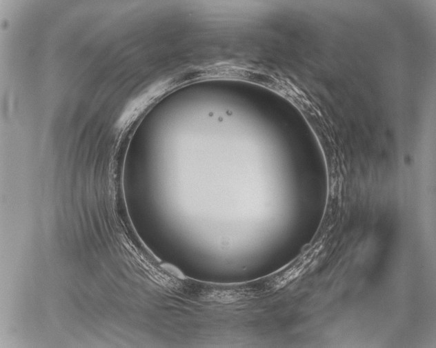 X0000059800341200510211057