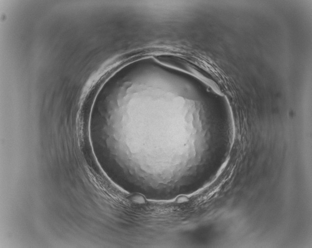 X0000059800343200510211057