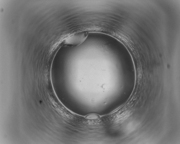 X0000059800345200510211057