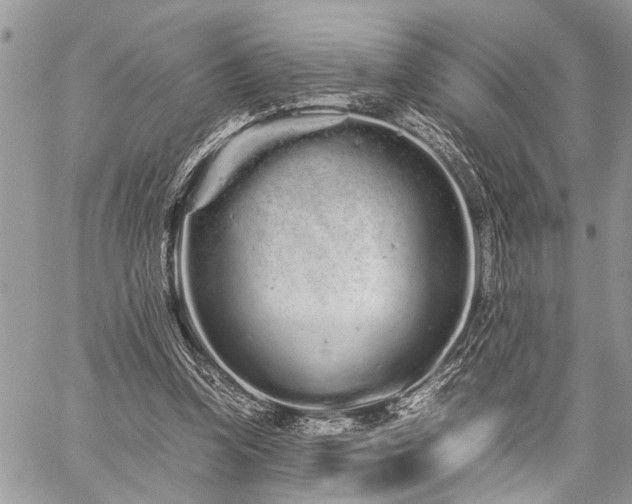 X0000059800346200510211057