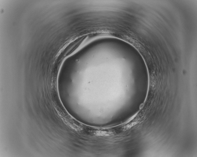 X0000059800347200510211057