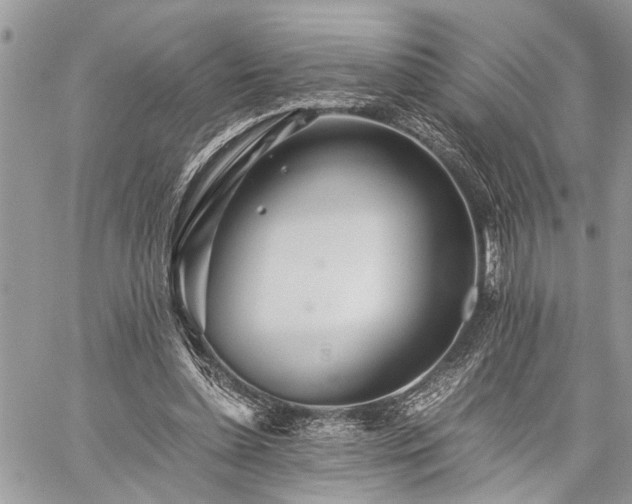 X0000059800348200510211057