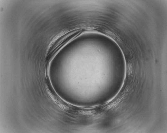 X0000059800349200510211057