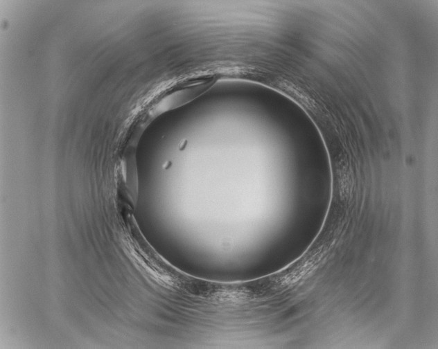 X0000059800350200510211057