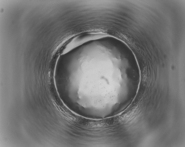 X0000059800351200510211057