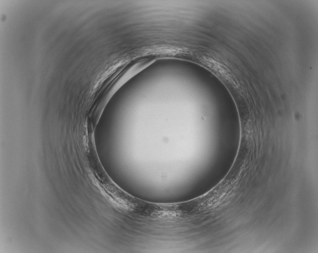 X0000059800352200510211057