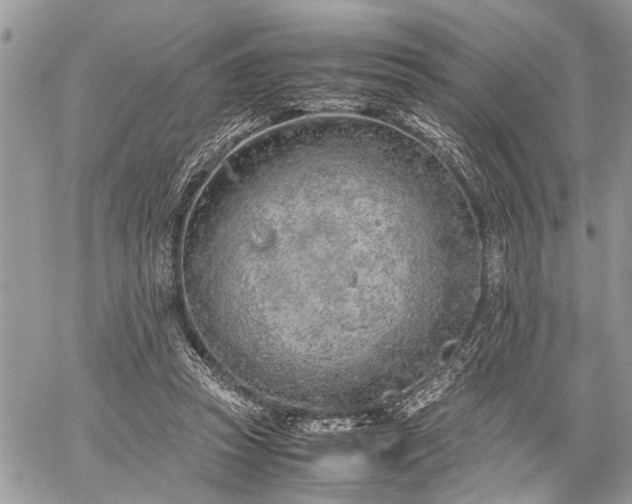 X0000059800353200510211057