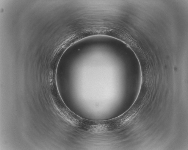 X0000059800356200510211057