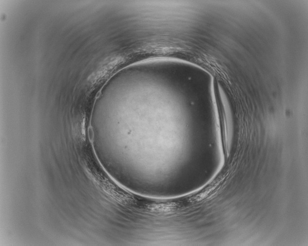 X0000059800358200510211057