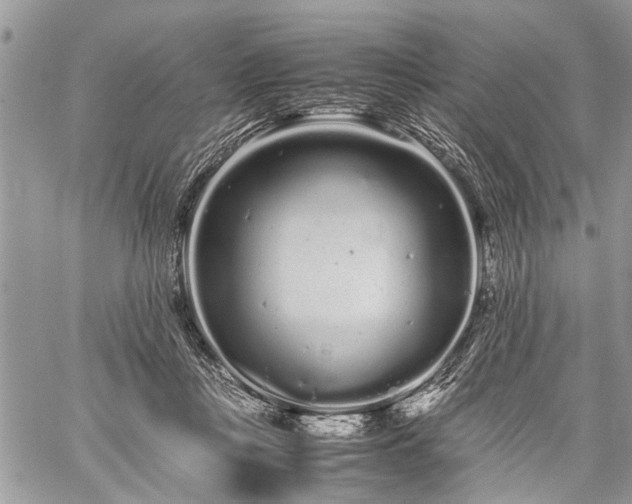 X0000059800359200510211057