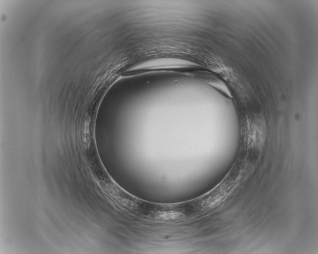 X0000059800360200510211057