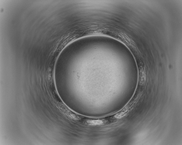 X0000059800361200510211057