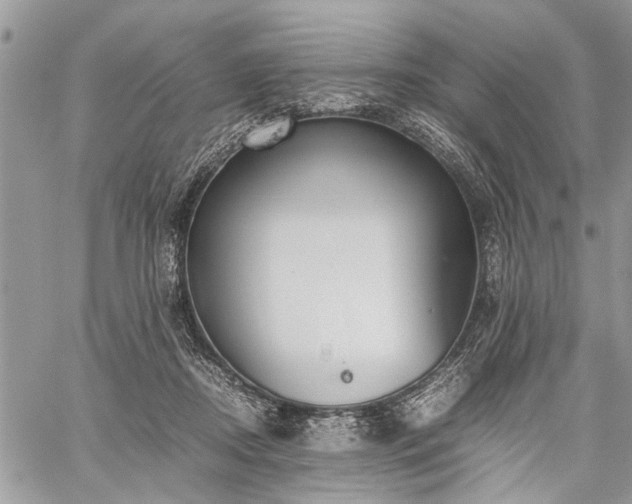 X0000059800362200510211057