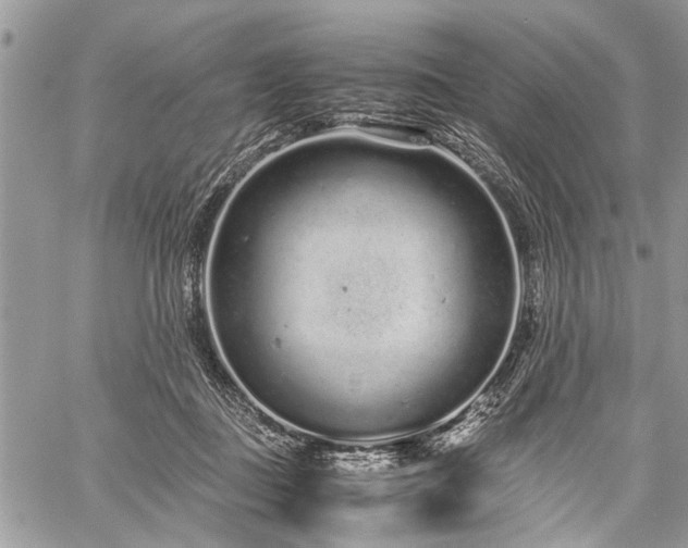 X0000059800363200510211057