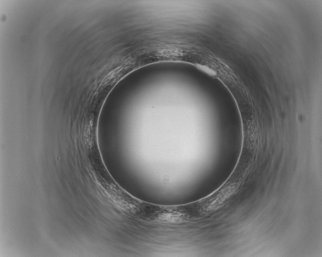 X0000059800364200510211057