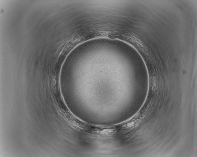 X0000059800365200510211057