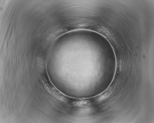 X0000059800366200510211057