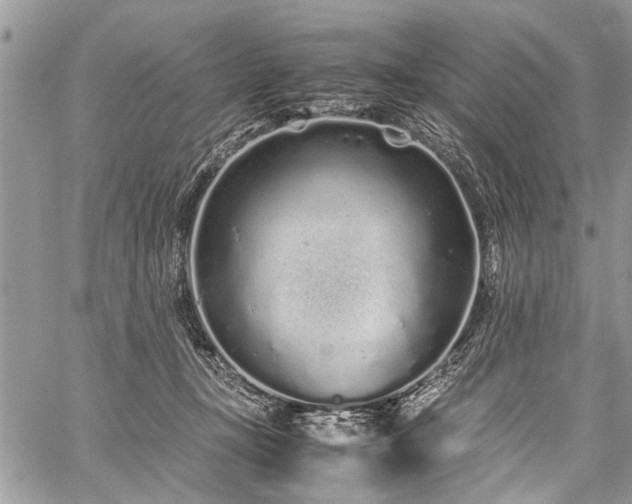 X0000059800367200510211057