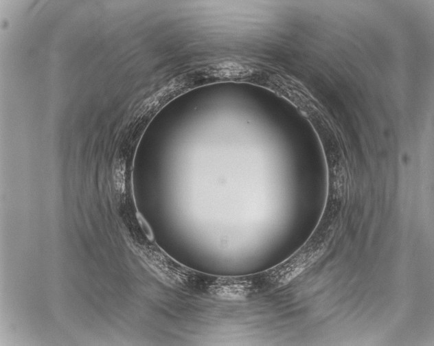 X0000059800368200510211057