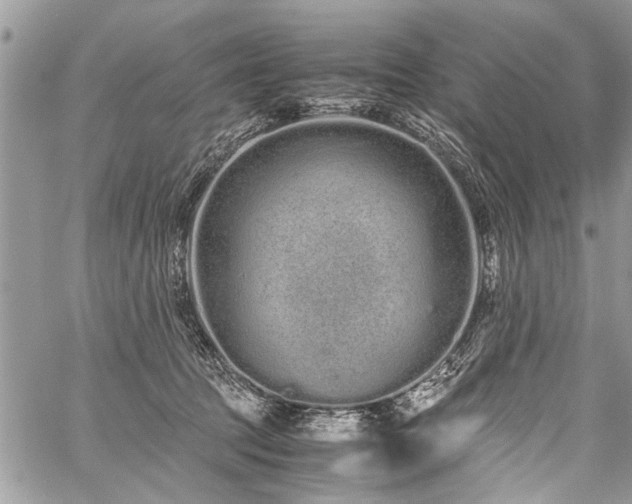 X0000059800369200510211057