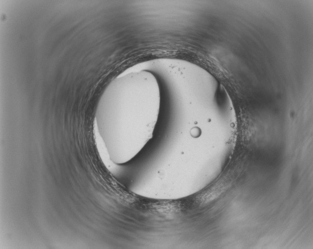 X0000059800370200510211058