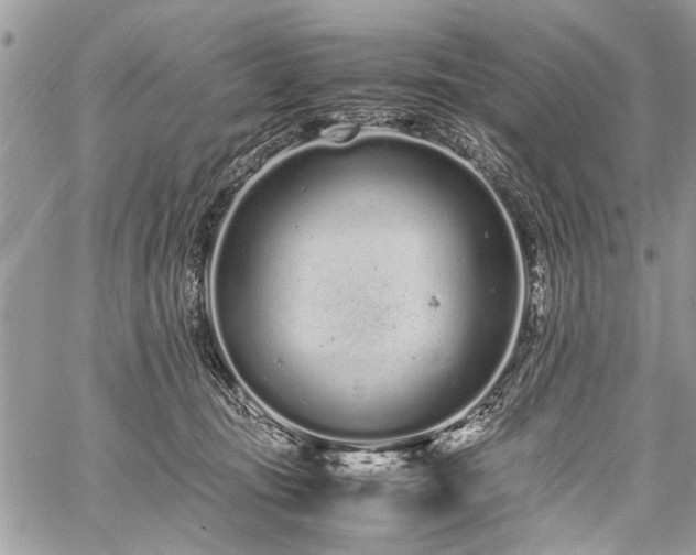 X0000059800371200510211058