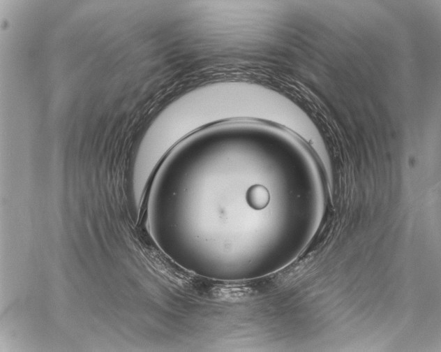 X0000059800372200510211058