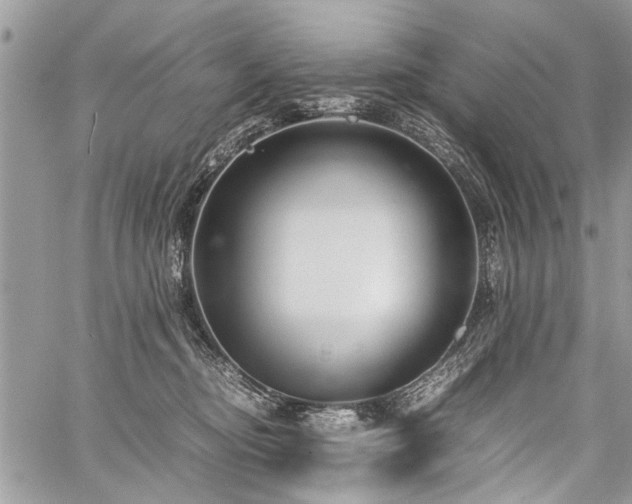 X0000059800374200510211058