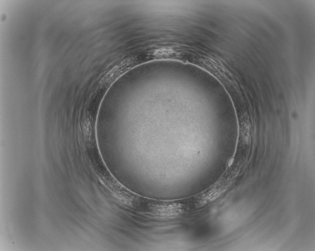 X0000059800375200510211058