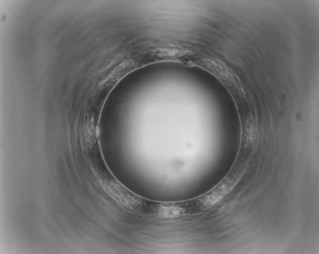 X0000059800376200510211058