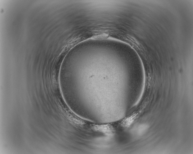 X0000059800377200510211058