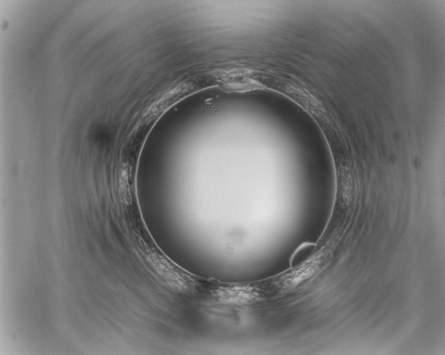 X0000059800378200510211058