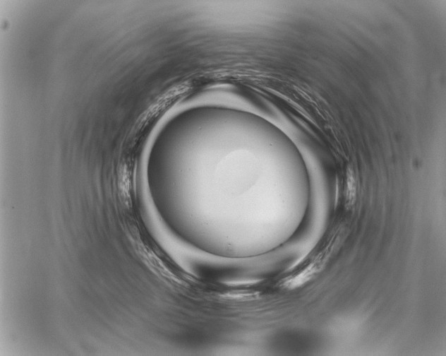 X0000059800380200510211058