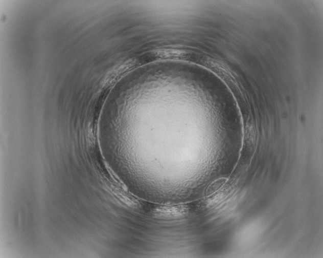 X0000059800381200510211058