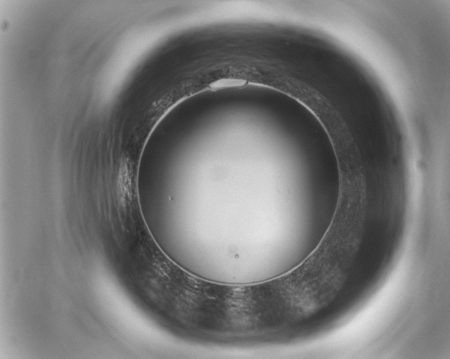 X0000059800382200510211058