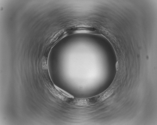 X0000059800384200510211058