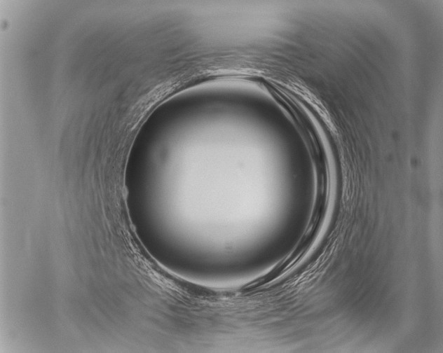 X0000059800385200510211057