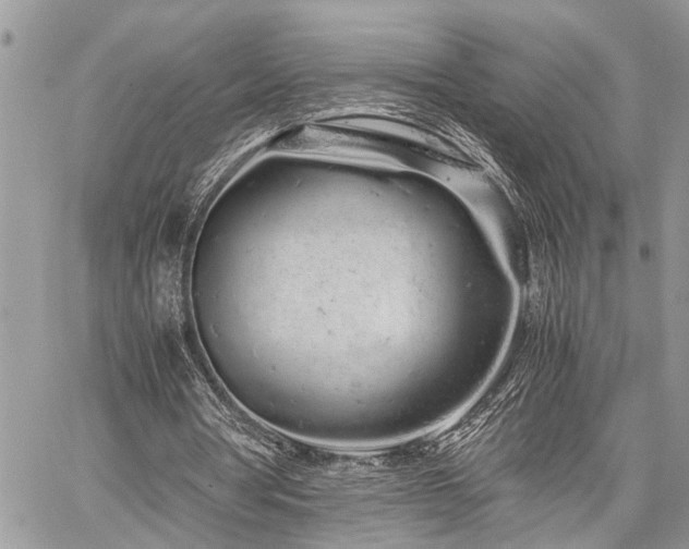 X0000059800386200510211057