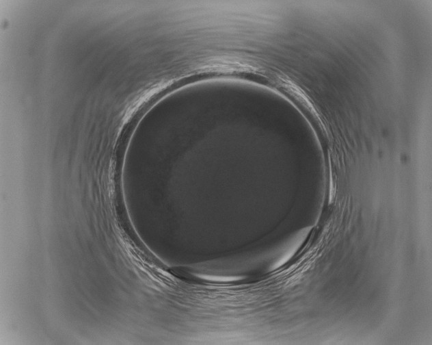 X0000059800387200510211057