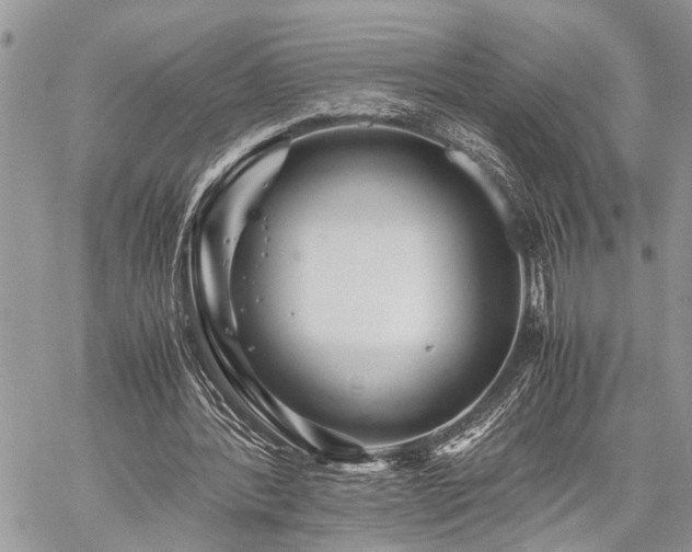 X0000059800388200510211057