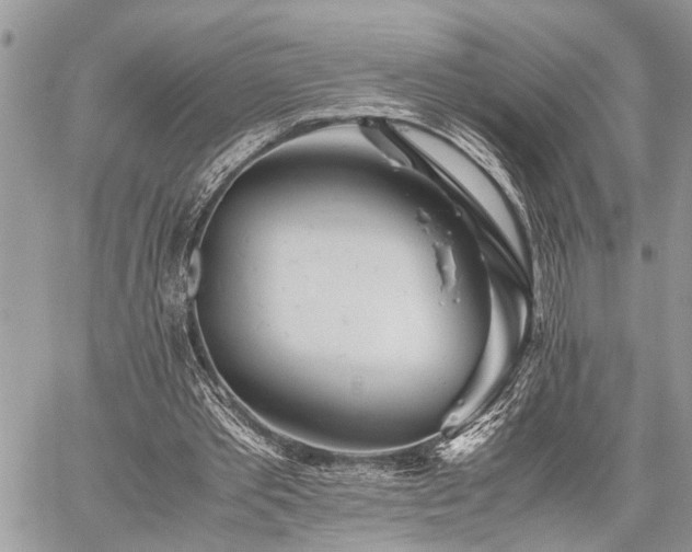 X0000059800389200510211057