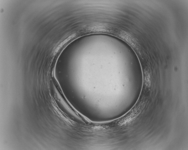 X0000059800390200510211057