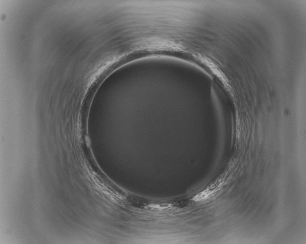 X0000059800391200510211057