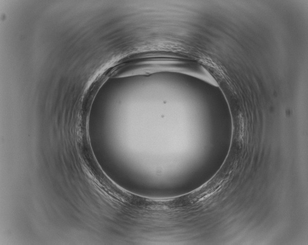 X0000059800392200510211057