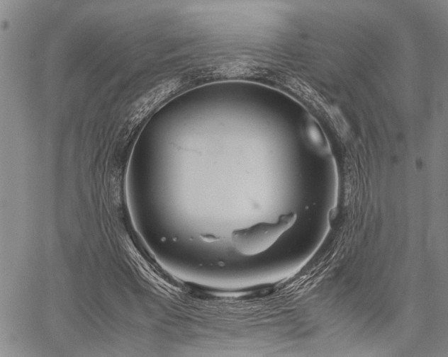 X0000059800393200510211057