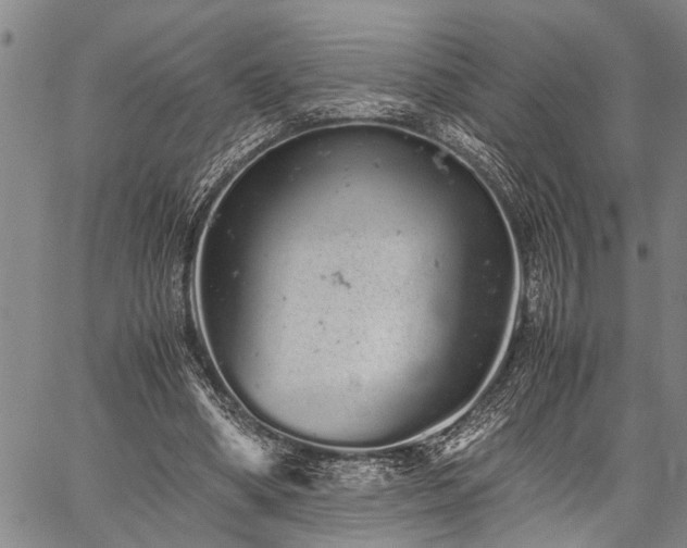 X0000059800394200510211057